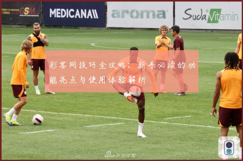 彩客网技巧全攻略：新手必读的功能亮点与使用体验解析