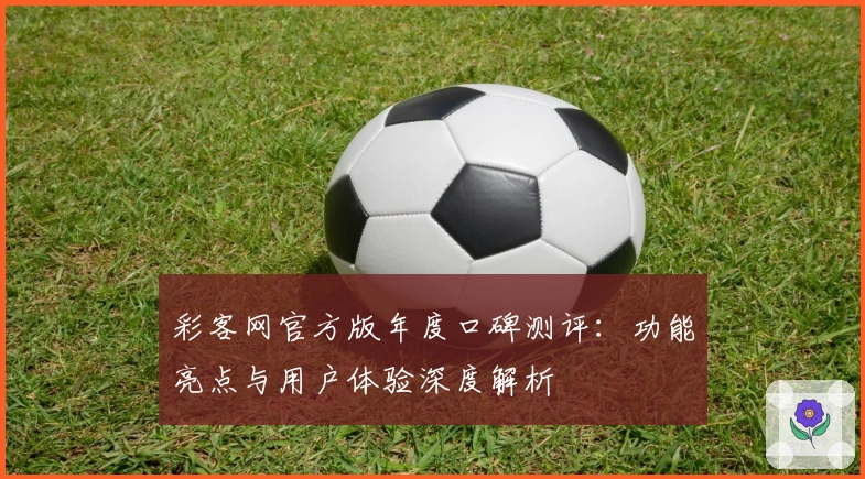 彩客网官方版年度口碑测评：功能亮点与用户体验深度解析