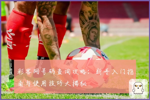 彩客网号码查询攻略：新手入门指南与使用技巧大揭秘