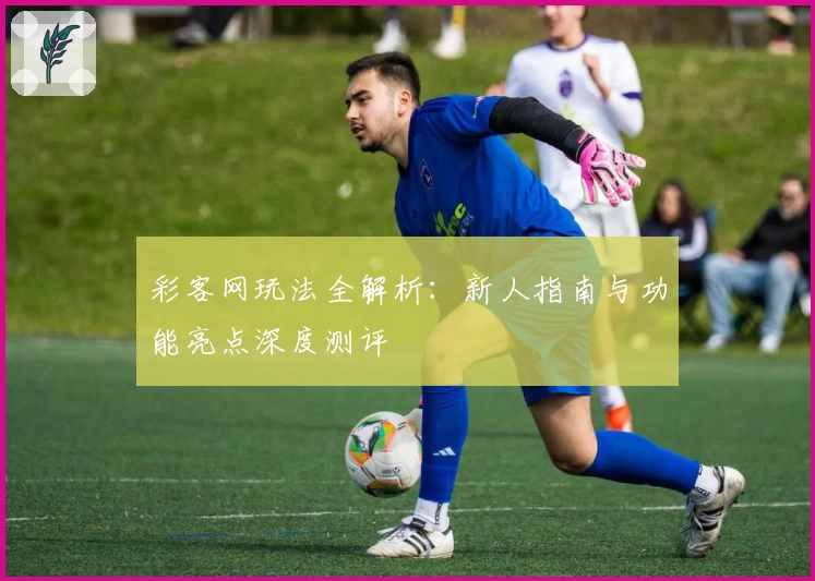 彩客网玩法全解析：新人指南与功能亮点深度测评