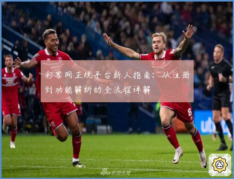 彩客网正规平台新人指南：从注册到功能解析的全流程详解