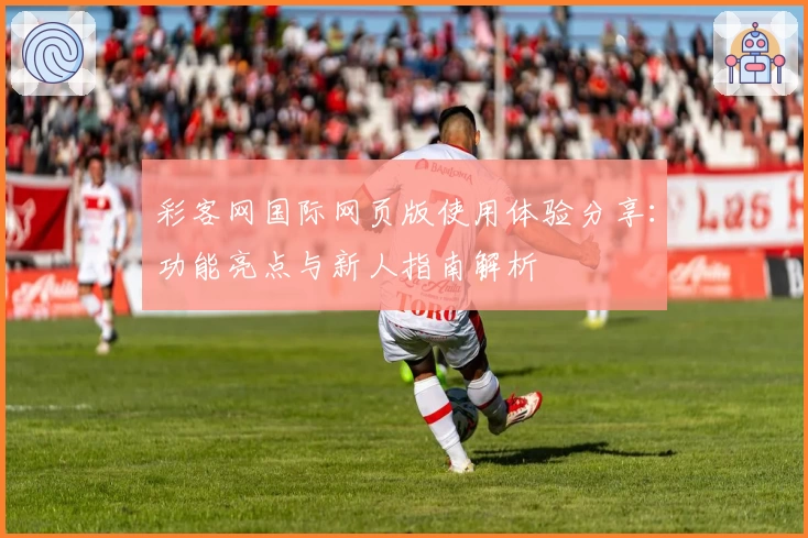 彩客网国际网页版使用体验分享：功能亮点与新人指南解析