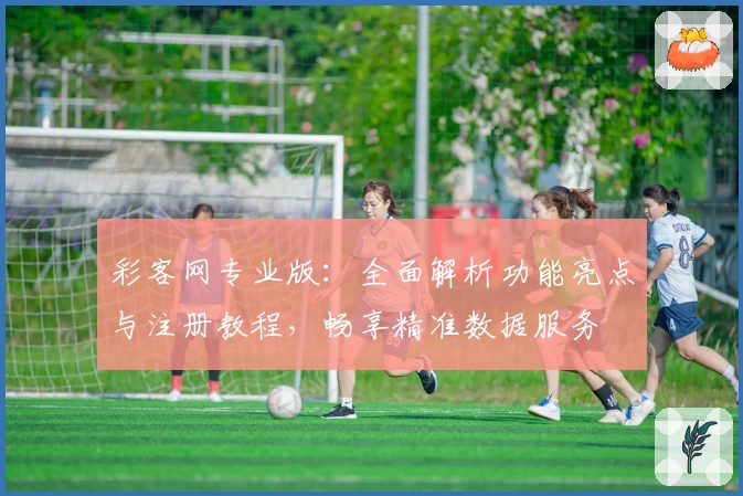 彩客网专业版：全面解析功能亮点与注册教程，畅享精准数据服务